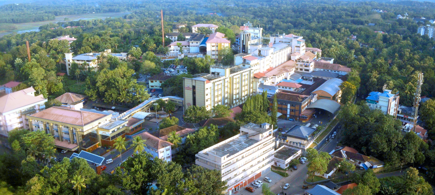 Caritas top view