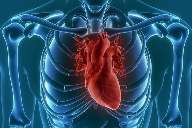 Congestive Heart Failure: Symptoms, Causes, and Treatment