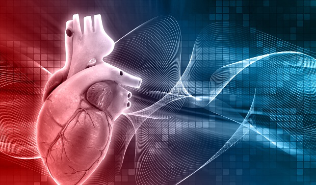 The Role of Inflammation in Heart Disease