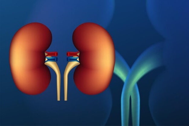 A Second Chance at Life: The Marvels of Kidney Transplantation