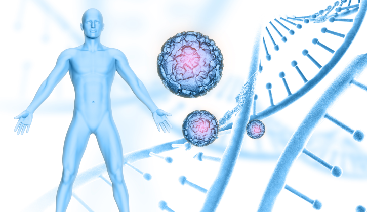 The Connection Between Hormones and Metabolism